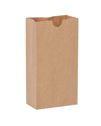 BAG PAPER #4 BROWN 500/BNDL