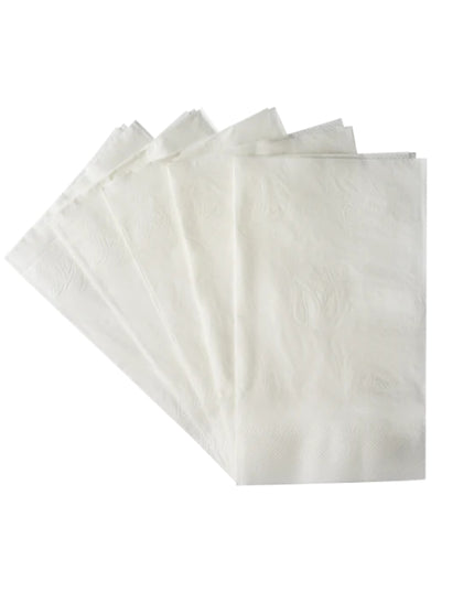 NAPKIN DINNER 15 X 17 2 PLY 20/150