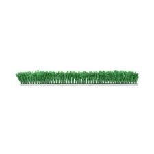 GREEN FERN 2 1/4 X 30"