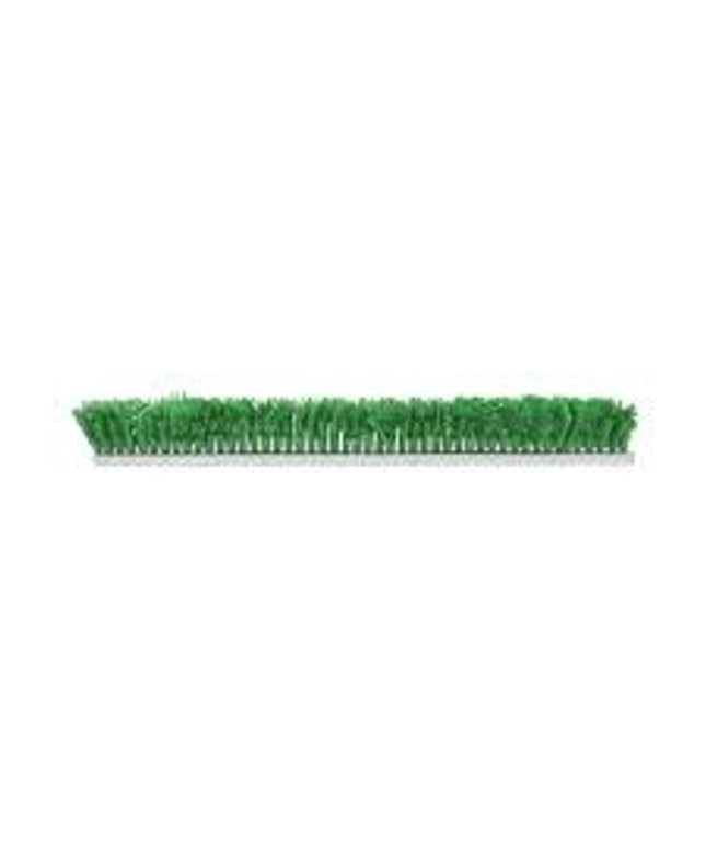 GREEN FERN 2 1/4 X 30"