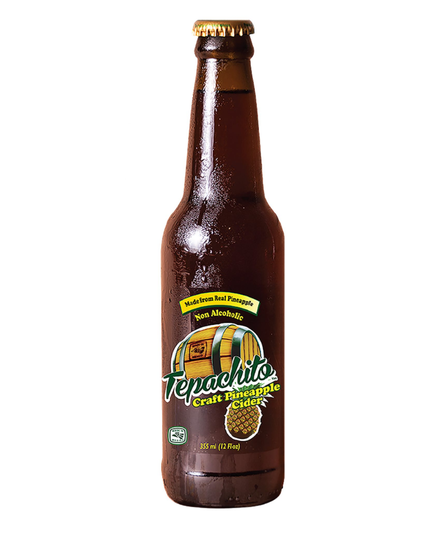 JARRITOS TEPACHE 24/12 OZ.