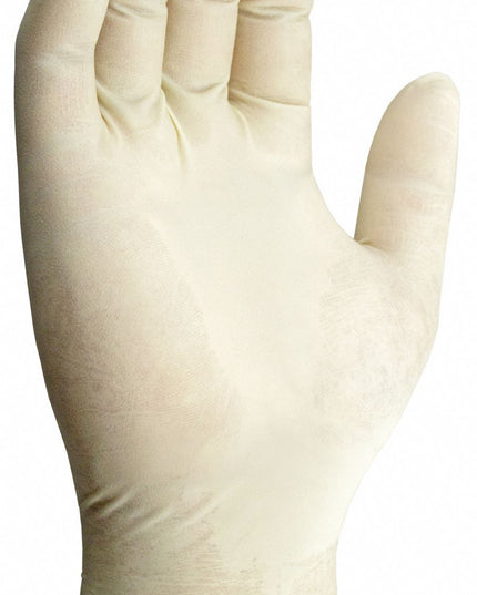 NO POWDER LATEX GLOVES XL 10/100 CS