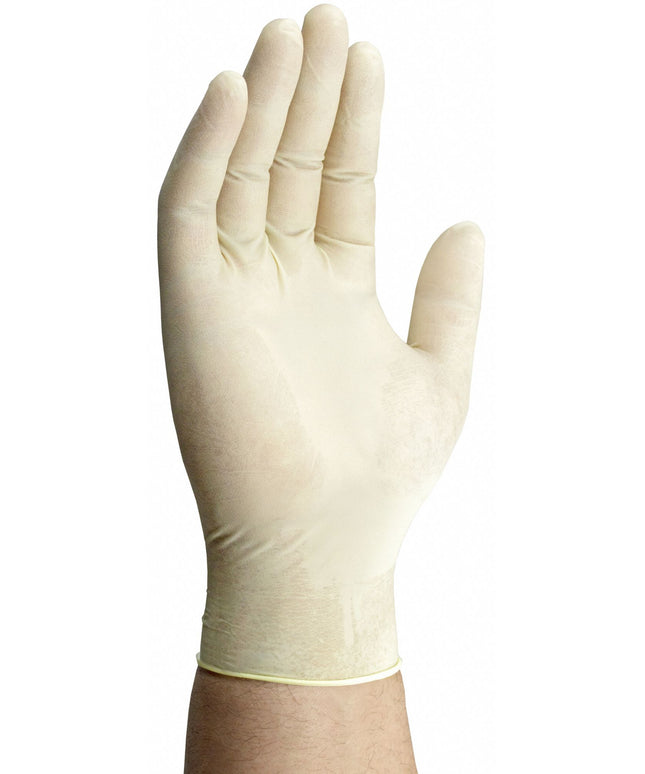 NO POWDER LATEX GLOVES XL 10/100 CS